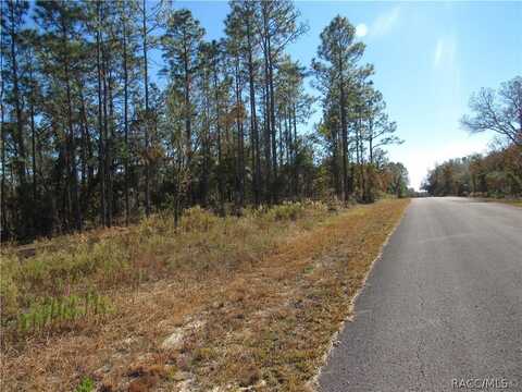 0000 SW SANDS PT Avenue, Dunnellon, FL 34431
