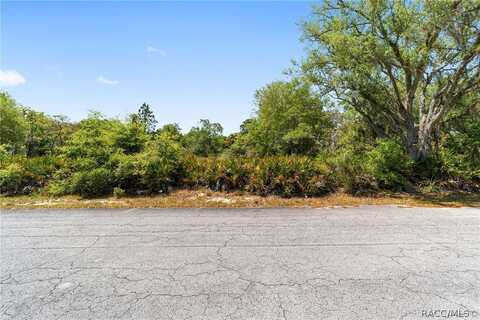 12577 W Rosemary Place, Crystal River, FL 34428
