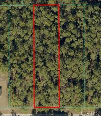0 SW 54th Street, Dunnellon, FL 34431