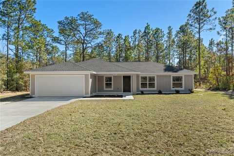 9471 N Fairy Lilly Drive, Citrus Springs, FL 34433