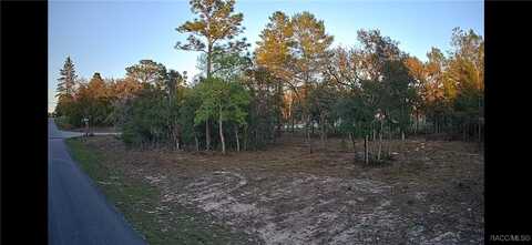 6599 N Varsity Avenue, Citrus Springs, FL 34434
