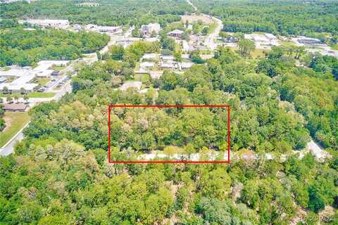 1253 NE 1st Street, Crystal River, FL 34429