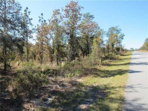 0000 SW PLAZA Court, Dunnellon, FL 34431