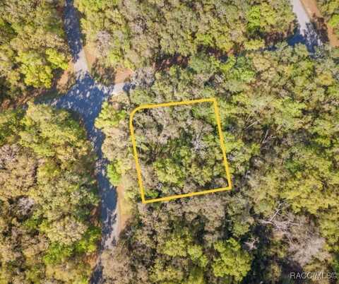 612 W Virginis Drive, Citrus Springs, FL 34434