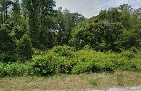 9296 N Black Oak Way, Crystal River, FL 34428
