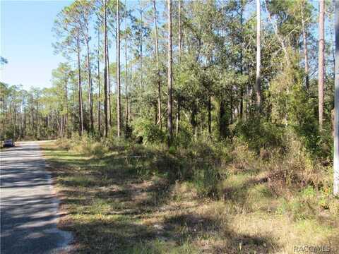 0000 SW NAUTILUS Boulevard, Dunnellon, FL 34431