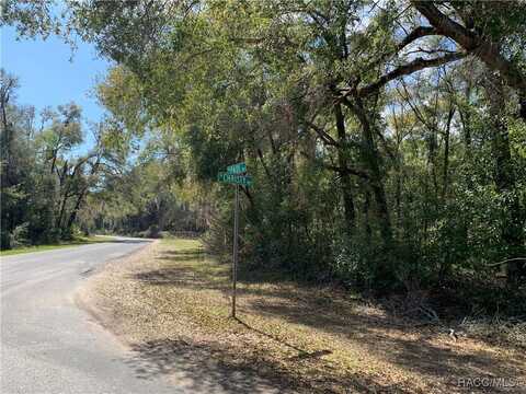 1220 N Paul Drive, Inverness, FL 34453