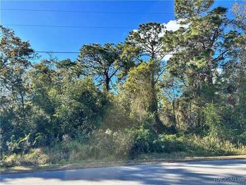 1264 N Nashua Terrace, Inverness, FL 34453