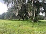 4160 NE 127th Place, Anthony, FL 32617