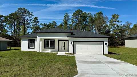 9916 N Fairy Lilly Drive, Citrus Springs, FL 34433