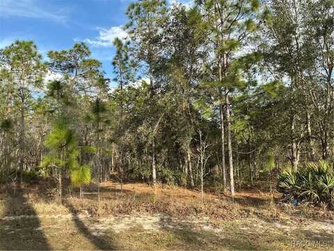 20 Nemesia Court E, Homosassa, FL 34446