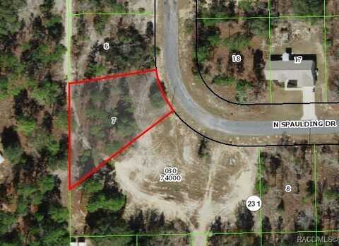 10330 N Spaulding Drive, Citrus Springs, FL 34433