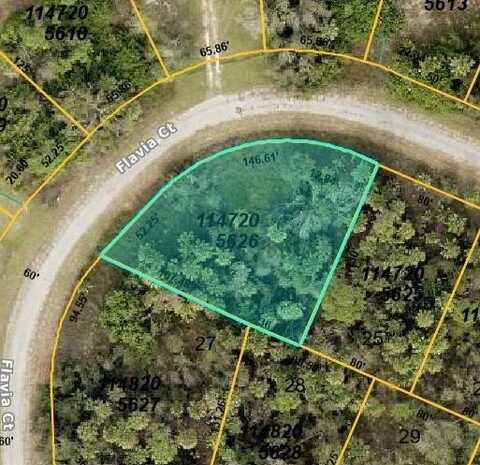 Flavia CT, North Port, FL 34288