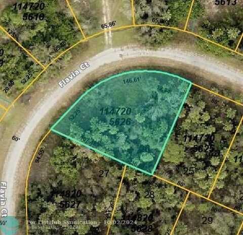 Flavia CT, North Port, FL 34288