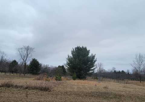 SHERIDAN Street, OCONTO FALLS, WI 54154