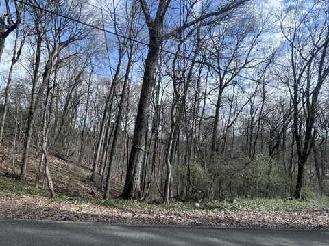 9976 Blue Springs Road, Harrison, TN 37341