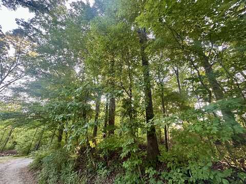 1ac Reed Strickland Lane, Spring City, TN 37381