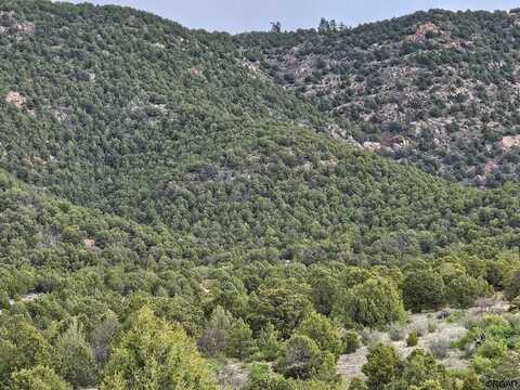 Tbd Wild Turkey Trail, Canon City, CO 81212