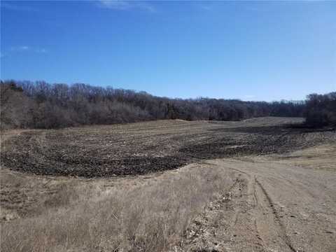 568th Avenue, Decoria Twp, MN 56001