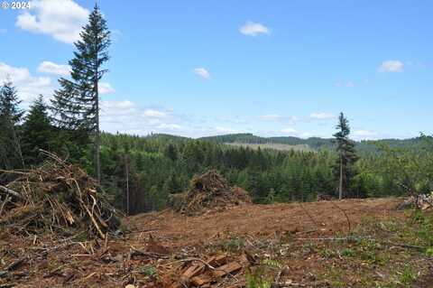 89975 SHEFFLER RD, Elmira, OR 97437