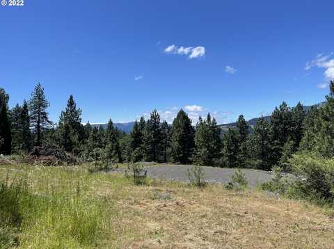 NW Howard CT, White Salmon, WA 98672
