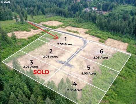 NE 43rd CIR, Camas, WA 98607