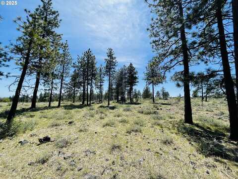 Jensen Quarry RD, Bickleton, WA 99322