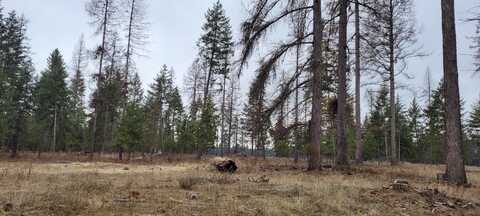 29210 N Spotted Rd, Deer Park, WA 99006