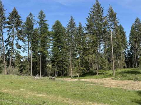 29210 N Spotted Rd, Deer Park, WA 99006