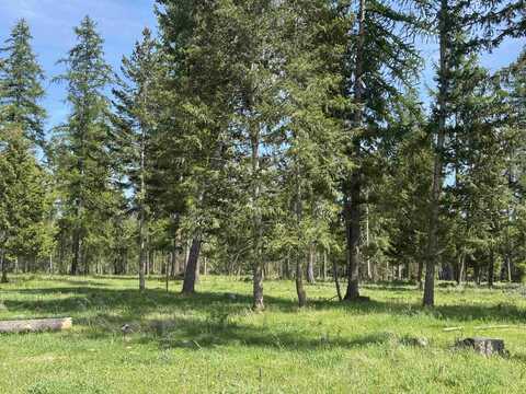 29210 N Spotted Rd, Deer Park, WA 99006