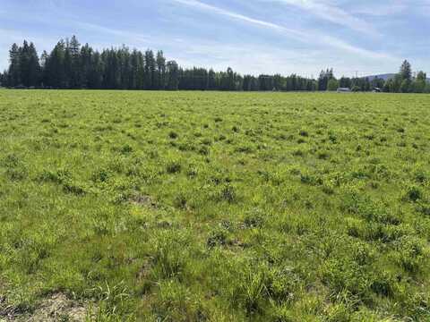 29210 N Spotted Rd, Deer Park, WA 99006