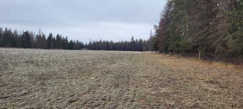 29210 N Spotted Rd, Deer Park, WA 99006