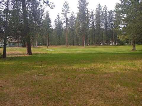 183 E Trappers Loop, Chewelah, WA 99109