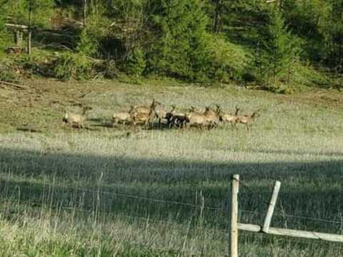 6066 Turk Rd, Fruitland, WA 99129