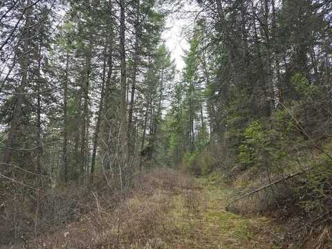 Tbd Vanesse Rd, Kettle Falls, WA 99141