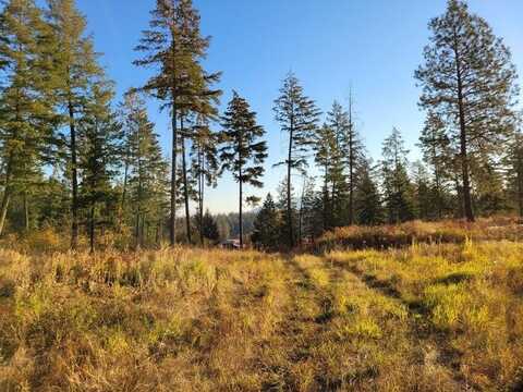 80x Philpott Rd, Colville, WA 99114