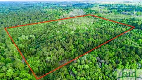 Tbd Dunham Williams Road, Hardeeville, SC 29927