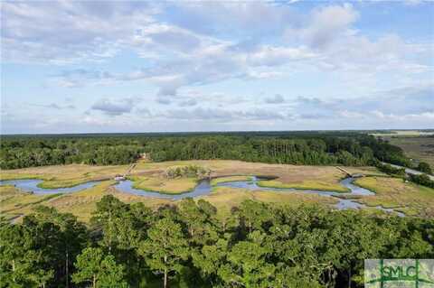 Lot 2 Retreat Lane, Townsend, GA 31331