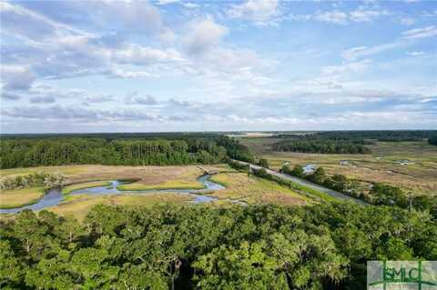Lot 1 Retreat Lane NE, Townsend, GA 31331