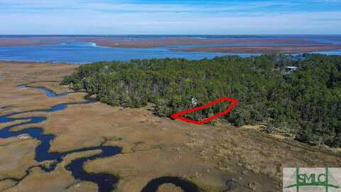 134 Blackbeard Court NE, Townsend, GA 31331