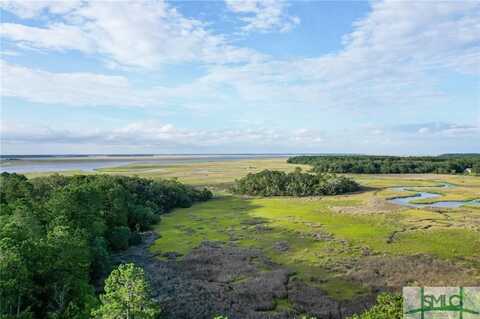 Lot 5 Retreat Lane, Townsend, GA 31331