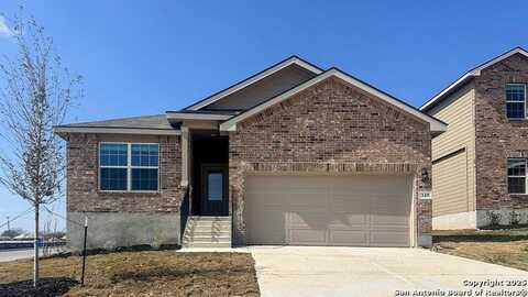 149 Hooded Dotterel, San Antonio, TX 78253
