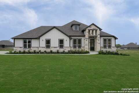 10868 Chestnut Warbler, New Braunfels, TX 78132