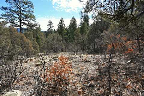 Bear Rd CR 322 unit: D-1 Lot 12, Tierra Amarilla, NM 87575