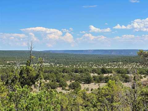Lot 7 Tierra de Dios, Rowe, NM 87562