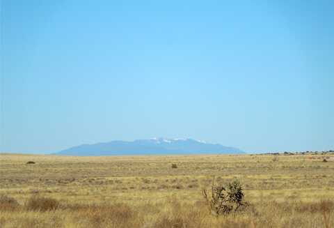 Lot 20-22 Block 8 Tract 12, Estancia, NM 87016