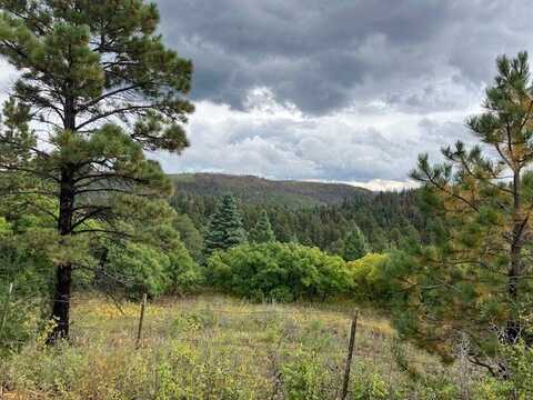 Tract 1 La Sierra Road, Holman, NM 87723