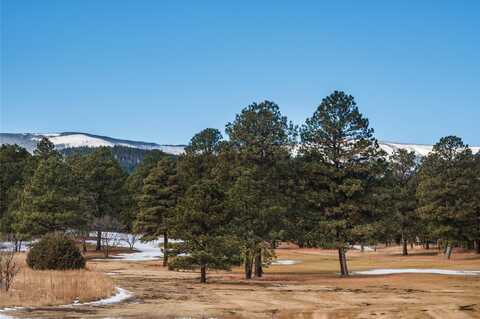 Lot 92 West Forest Drive, Rociada, NM 87742