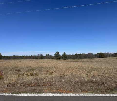 00 Mill Creek Ct, Leighton, AL 35646