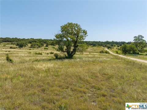 Tbd Bear Branch Road, Purmela, TX 76566